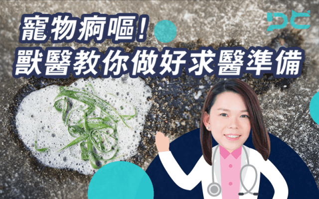 PetbleCare 寵物保險 貓貓 狗狗 寵物痾嘔 獸醫 求醫準備 求醫 睇 vet