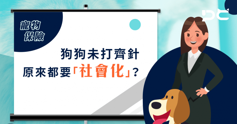 PetbleCare 寵物保險 hong kong pet insurance 寵保 寵險 狗狗未打齊針 原來都要社會化 5個月大 外出 感染 認知世界 黃金時間