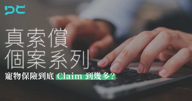 PetbleCare 寵物保險 香港 買寵物保險 貓貓 狗狗 真索償個案系列 寵物保險 claim 到幾多 case study 保險單 收據 診所收據 真實索償個案 claim 例子 賠償 理賠 保險理賠